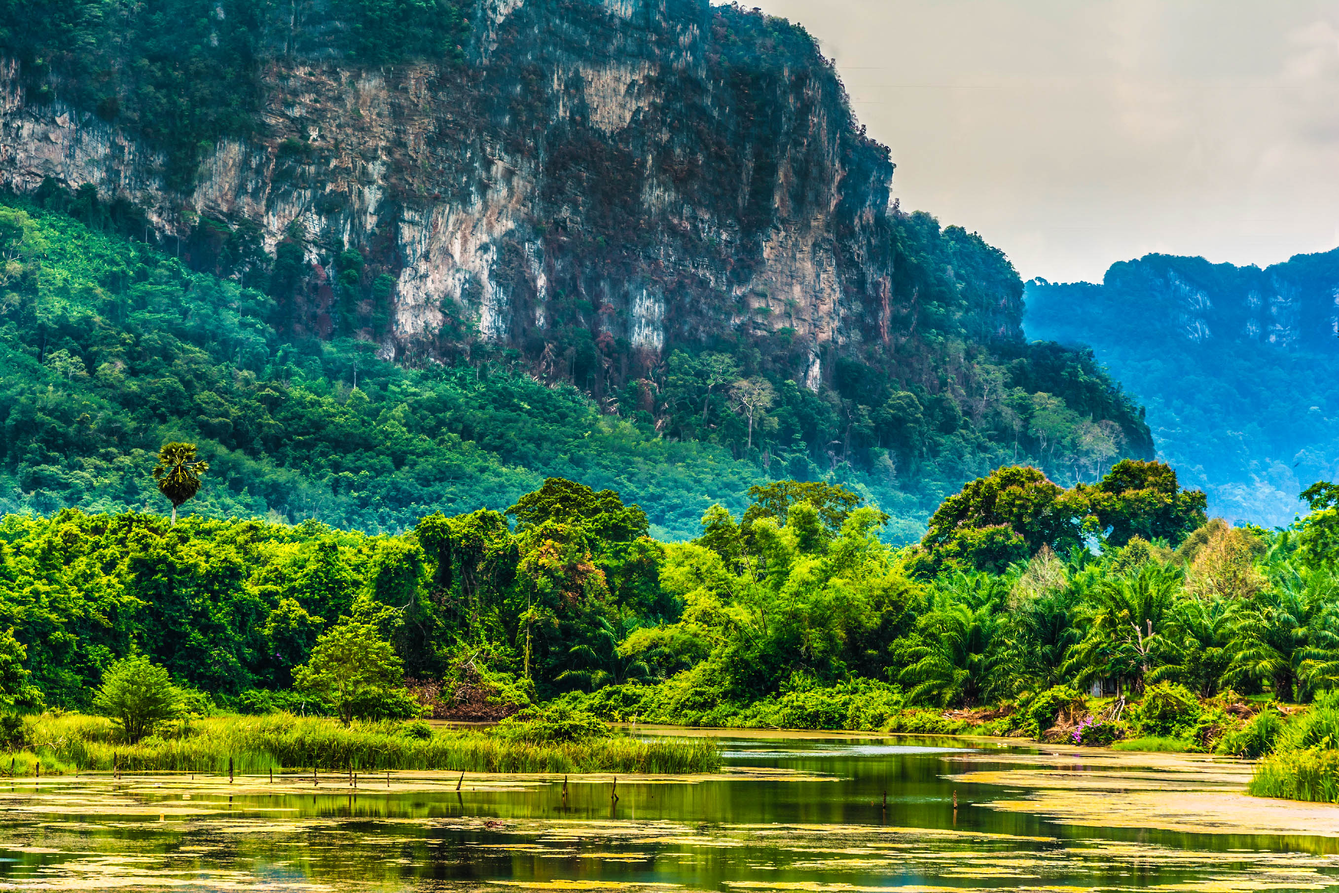 รายการแนะนำอุทยานแห่งชาติทางบกที่มีพื้นที่ขนาดใหญ่ในประเทศไทย