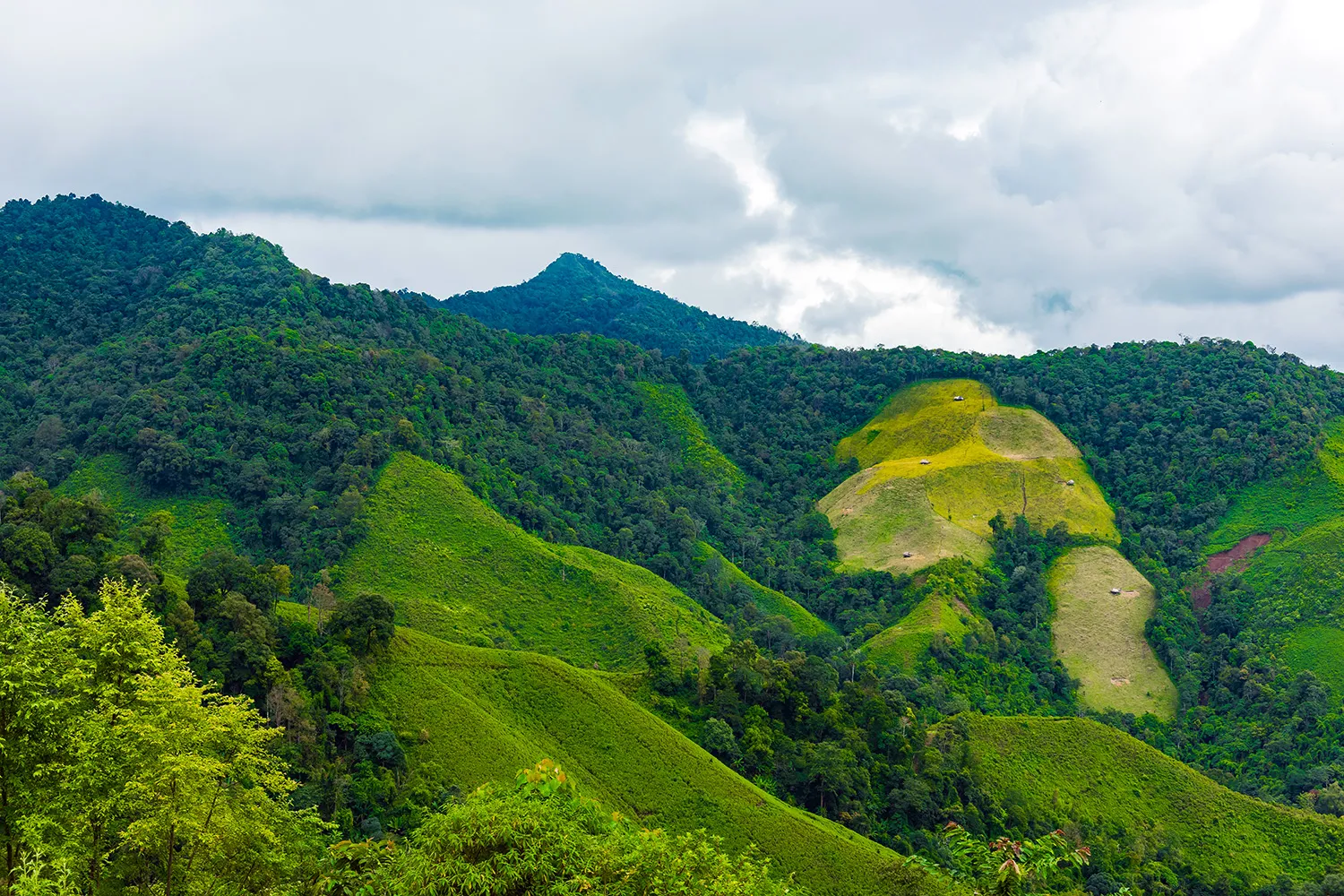 อุทยานแห่งชาติดอยภูคา — รายการแนะนำอุทยานแห่งชาติทางบกที่มีพื้นที่ขนาดใหญ่ในประเทศไทย