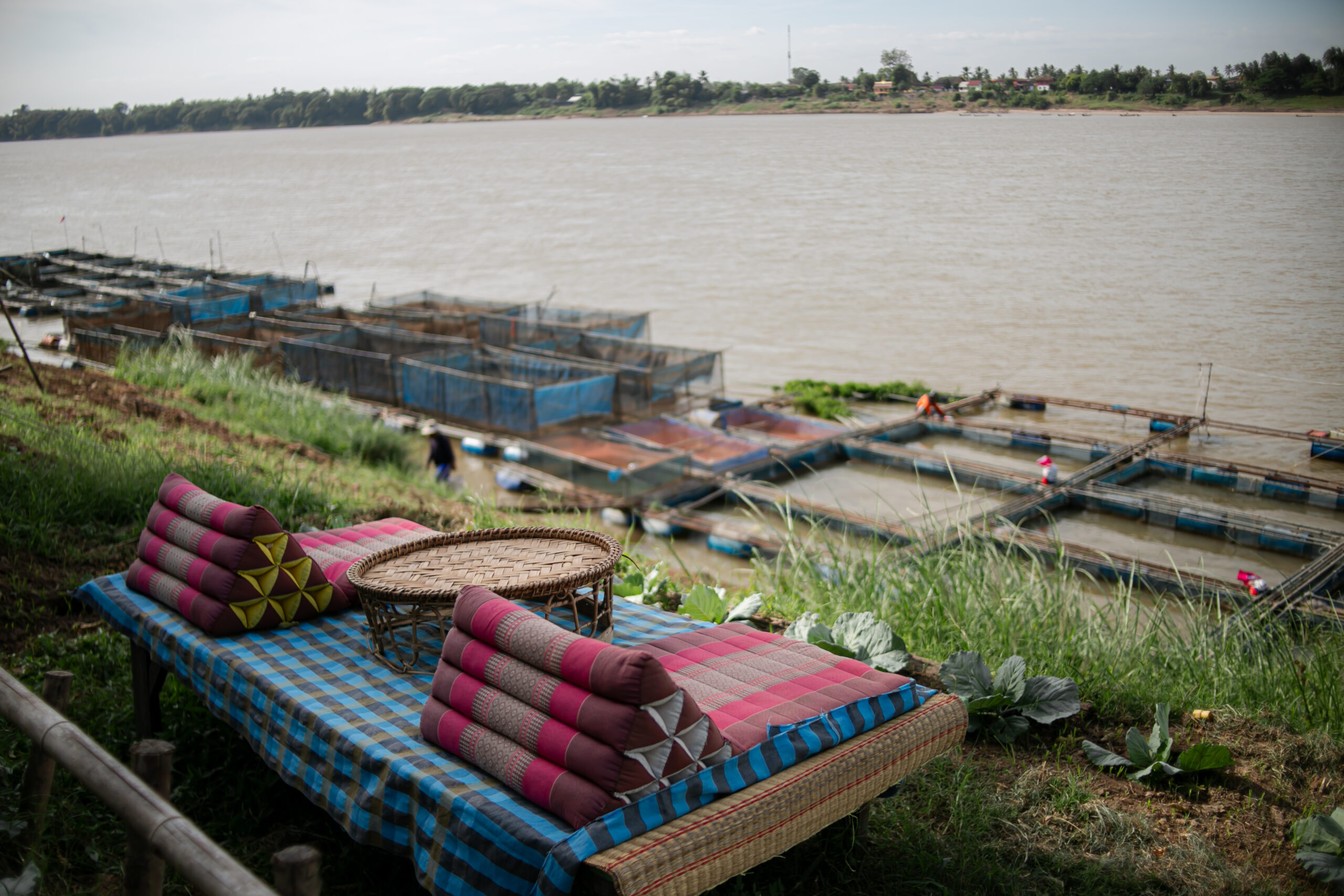 ชุมชนบ้านเดื่อ (จ.หนองคาย) — 10 ชุมชนท่องเที่ยวเชิงวัฒนธรรมและวิถีชีวิตยอดนิยมในไทย สัมผัสเสน่ห์ภูมิปัญญาท้องถิ่นอย่างยั่งยืน