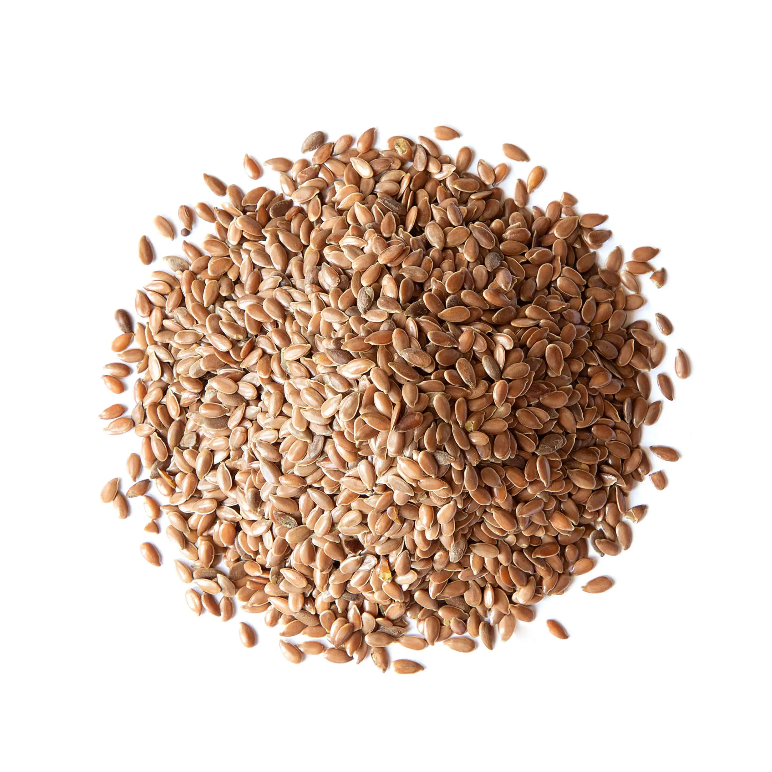 เมล็ดแฟลกซ์ (Flaxseeds) — 10 อันดับอาหารธรรมชาติที่มีปริมาณใยอาหาร (ไฟเบอร์) สูงที่สุดต่อ 100 กรัม