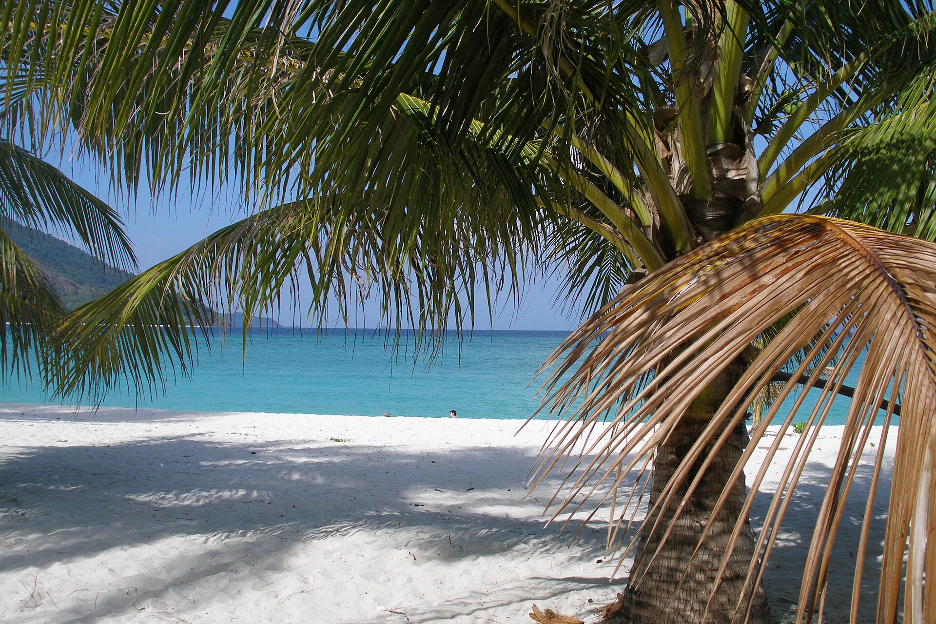 เกาะหลีเป๊ะ (Koh Lipe) — 10 เกาะสวยน้ำใสยอดนิยมในไทย น่าไปสัมผัสทะเลอันดามันและอ่าวไทยรับฤดูกาลท่องเที่ยวปลายปี 2569