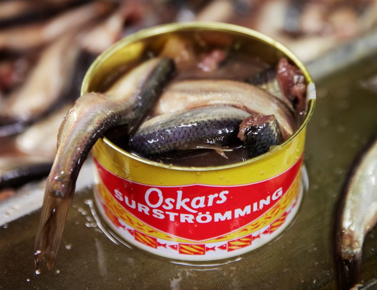 ปลาร้า (Fermented Fish) — 10 อันดับอาหารธรรมชาติที่มีปริมาณแคลเซียมสูงที่สุดต่อ 100 กรัม