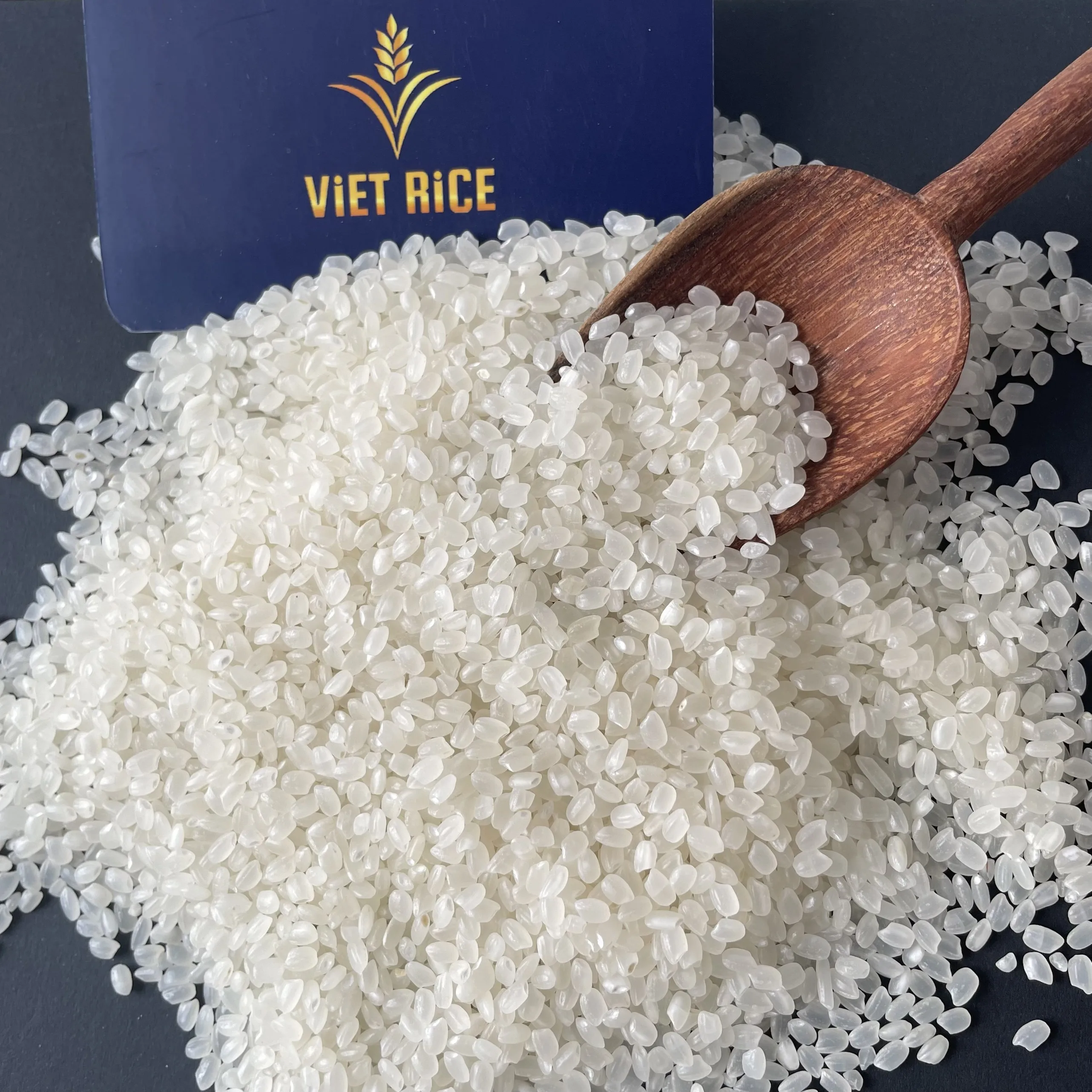 เวียดนาม (Vietnam) — 10 อันดับประเทศผู้ส่งออกข้าวรายใหญ่ที่สุดในโลก อัปเดตสถิติล่าสุดปี 2026