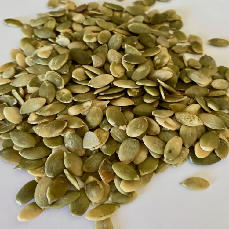 เมล็ดฟักทอง (Pumpkin Seeds) — 10 อันดับอาหารธรรมชาติที่มีปริมาณแมกนีเซียมสูงที่สุดต่อ 100 กรัม