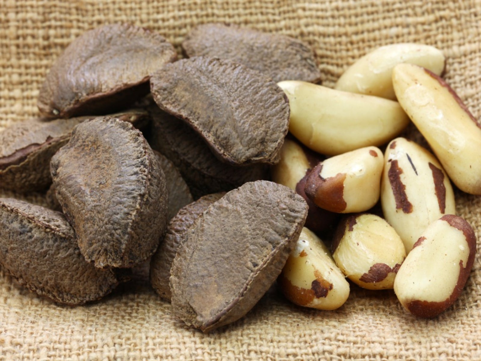 ถั่วบราซิล (Brazil Nuts) — 10 อันดับอาหารธรรมชาติที่มีปริมาณแมกนีเซียมสูงที่สุดต่อ 100 กรัม