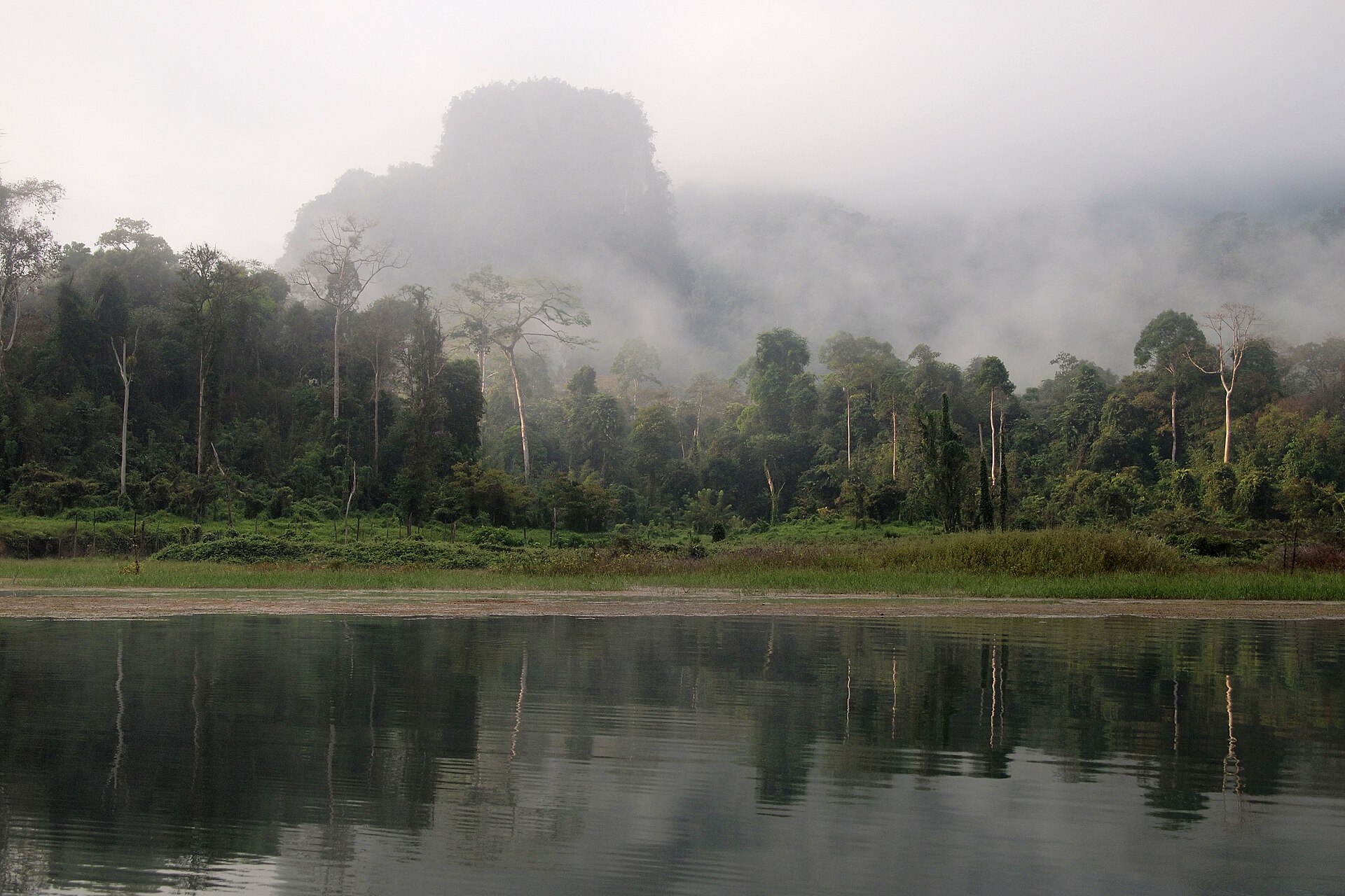 อุทยานแห่งชาติเขาสก — 10 อุทยานแห่งชาติยอดนิยมในไทยสำหรับเส้นทางเดินป่าศึกษาธรรมชาติและแคมป์ปิ้ง สัมผัสความสมบูรณ์แห่งพงไพรรับปลายปี 2569