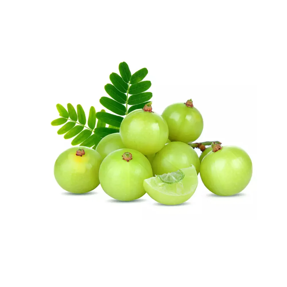 มะขามป้อมอินเดีย (Amla) — 10 อันดับอาหารธรรมชาติที่มีปริมาณวิตามินซีสูงที่สุดต่อ 100 กรัม เสริมภูมิคุ้มกันระดับซูเปอร์ฟู้ด