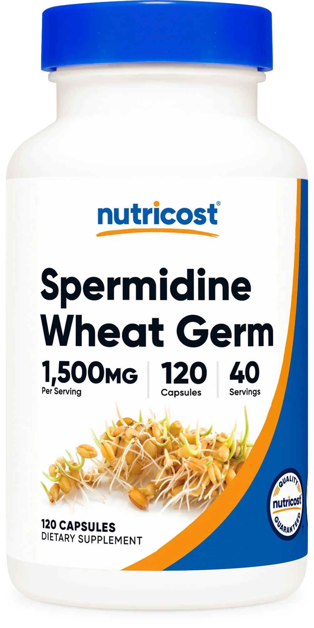 Spermidine (สเปอร์มิดีน) — 10 นวัตกรรมอาหารเสริมและสารอาหารชะลอวัยระดับเซลล์ (Longevity Supplements) ยอดนิยมปี 2026