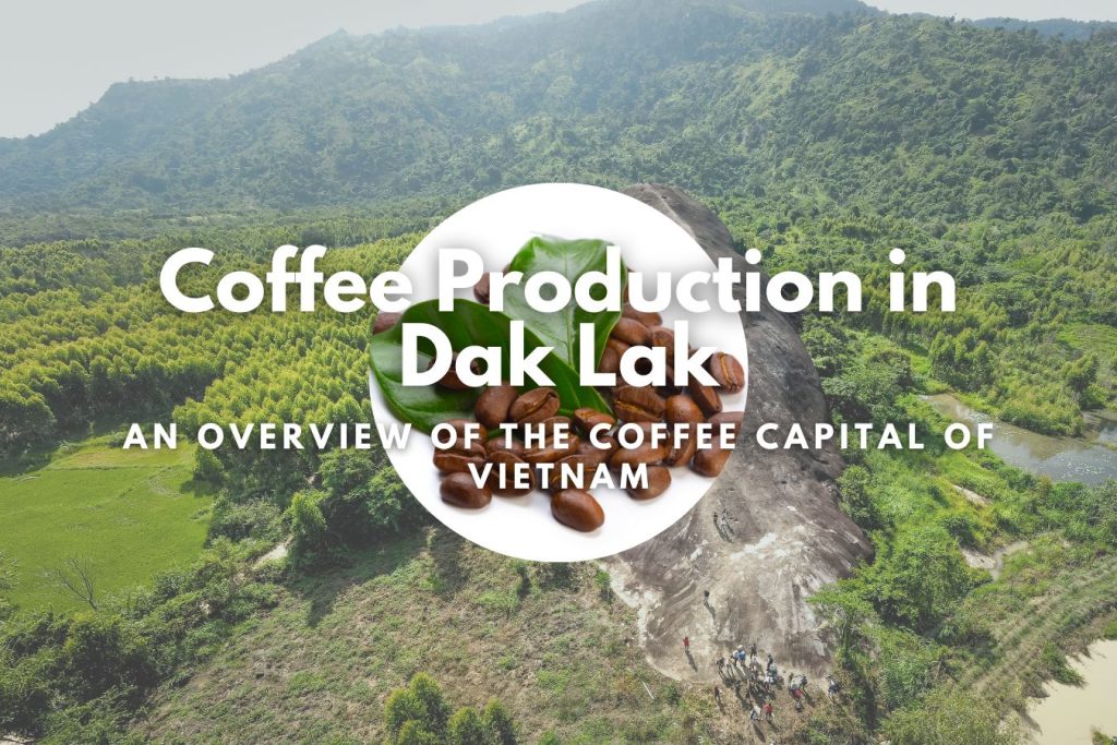 เวียดนาม (Vietnam) — 10 อันดับประเทศผู้ผลิตกาแฟรายใหญ่ที่สุดในโลก อัปเดตสถิติล่าสุดปี 2026