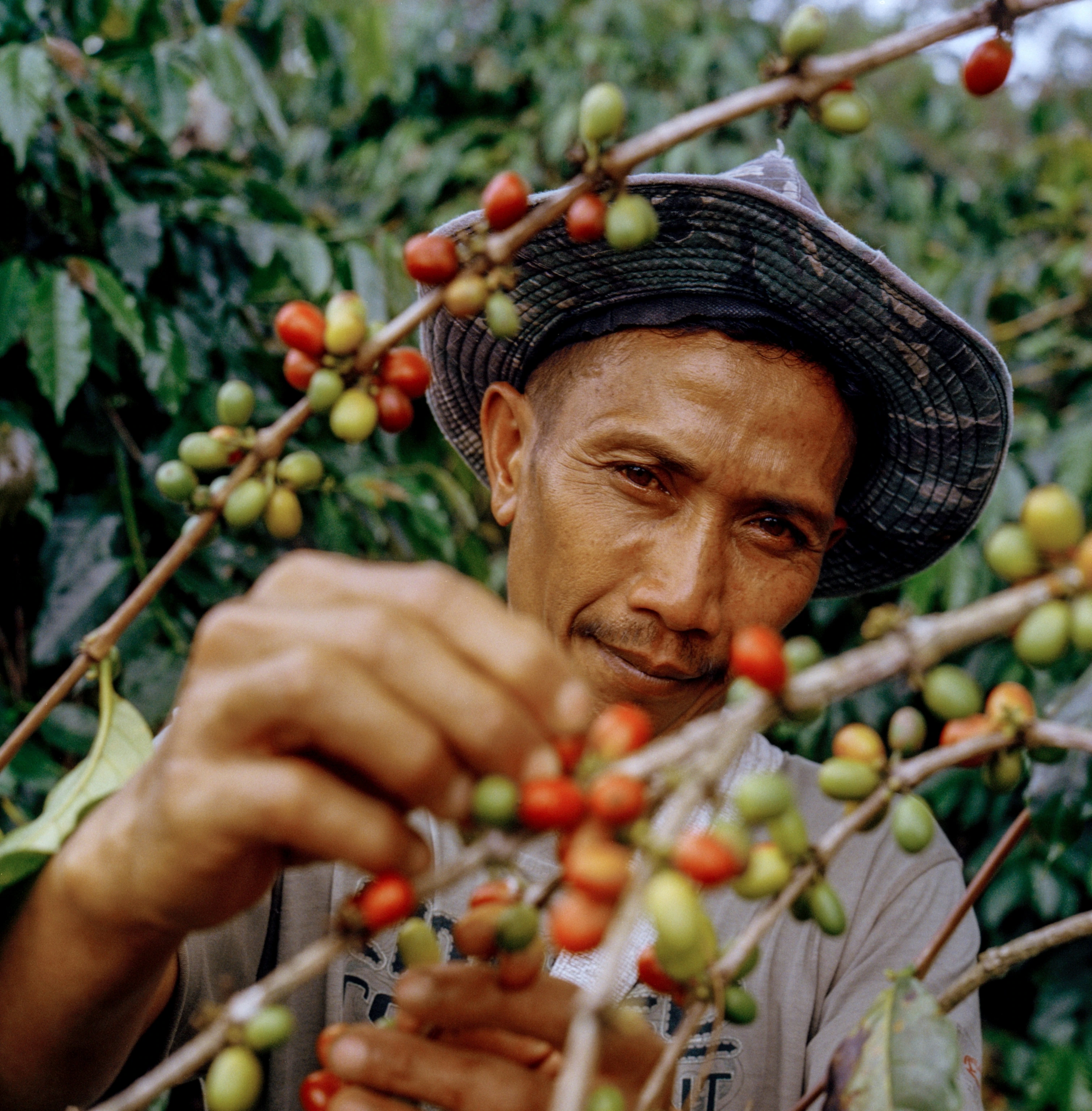 อินโดนีเซีย (Indonesia) — 10 อันดับประเทศผู้ผลิตกาแฟรายใหญ่ที่สุดในโลก อัปเดตสถิติล่าสุดปี 2026