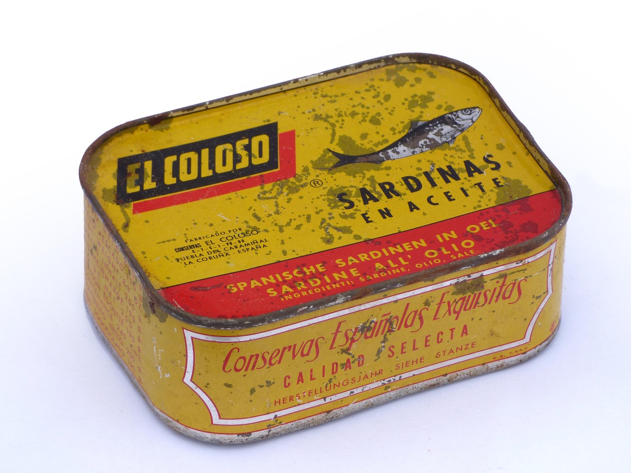 ปลาซาร์ดีนในน้ำมันและกระป๋อง (Canned Sardines) — 10 อันดับอาหารธรรมชาติที่มีปริมาณแคลเซียมสูงที่สุดต่อ 100 กรัม เสริมสร้างกระดูกและฟันให้แข็งแรง