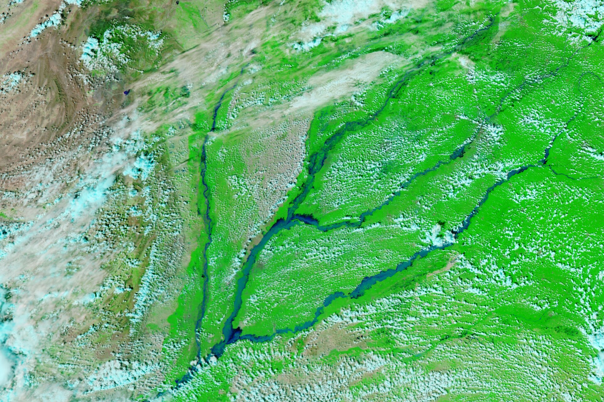 ปากีสถาน (Pakistan) — 10 อันดับประเทศผู้ผลิตฝ้ายดิบรายใหญ่ที่สุดในโลก อัปเดตสถิติล่าสุดปี 2026