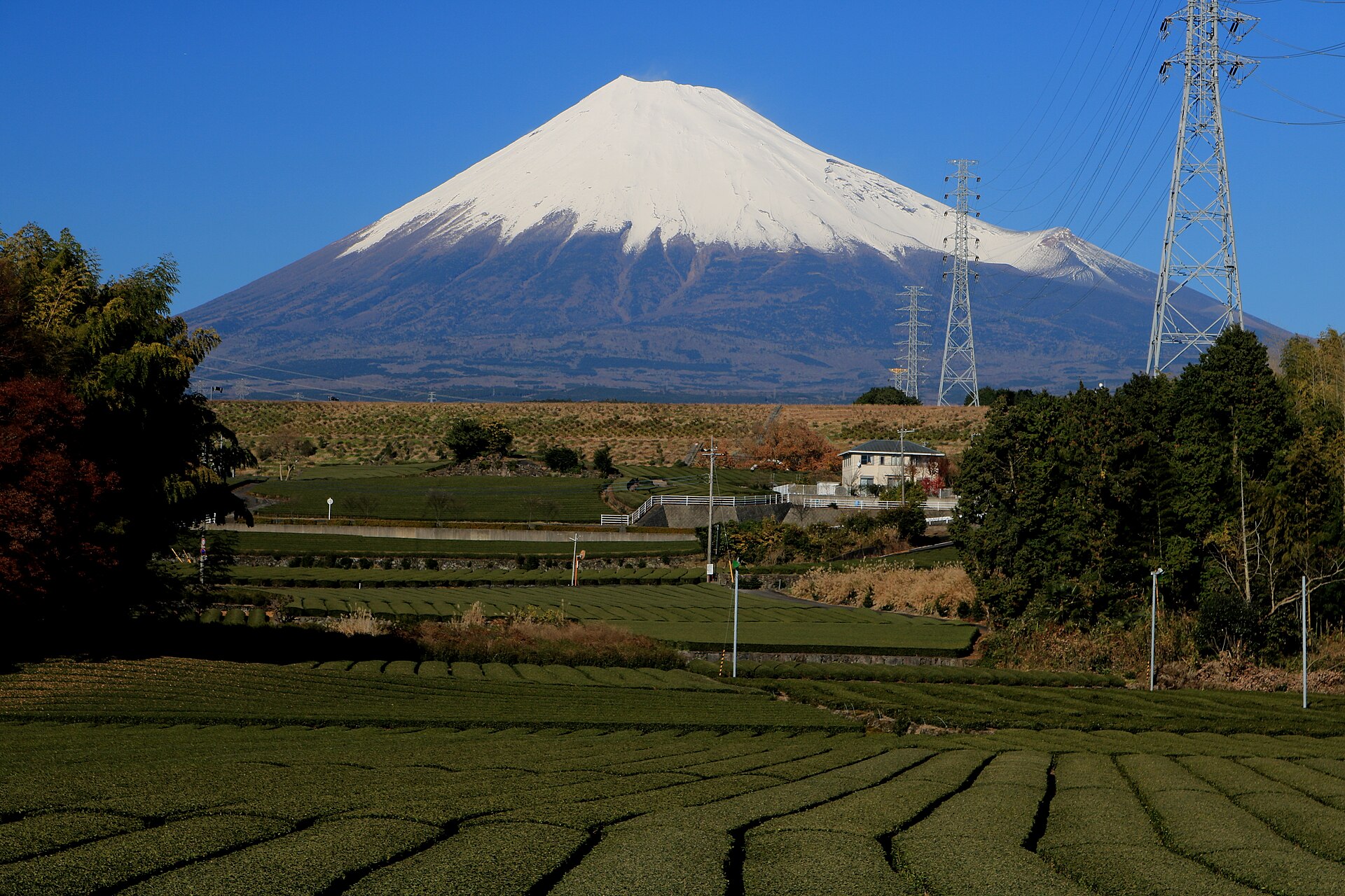 ญี่ปุ่น (Japan) — 10 อันดับประเทศผู้ส่งออกชาแห้งรายใหญ่ที่สุดในโลก อัปเดตสถิติล่าสุดปี 2026